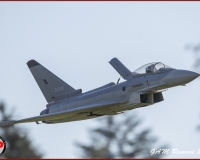 TSR Watermark - 0505
